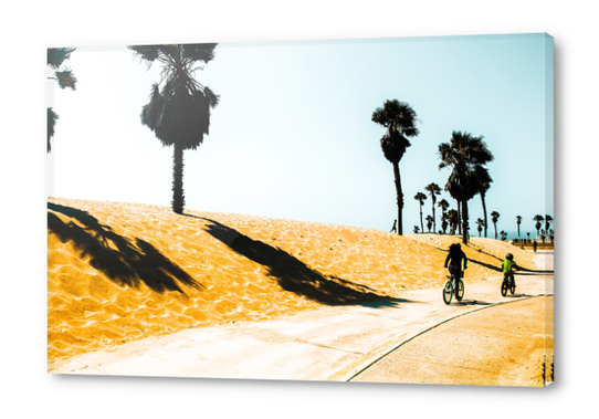 palm tree and sandy beach at Oxnard Beach, California, USA Acrylic prints by Timmy333