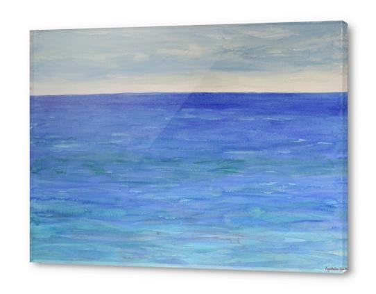 The Deep Blue Beauty Acrylic prints by Heidi Capitaine