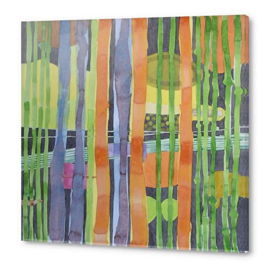 Bamboo Garden Acrylic prints by Heidi Capitaine