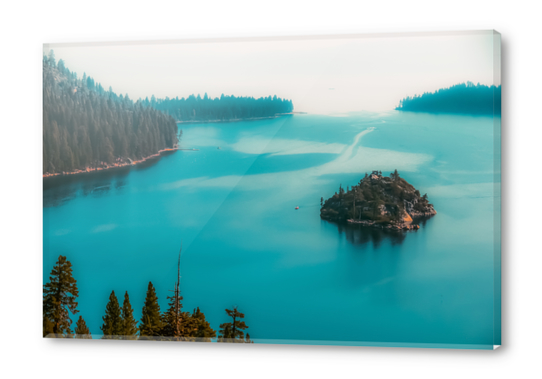 Pine tree and island at Emerald Bay Lake Tahoe California USA Acrylic prints by Timmy333