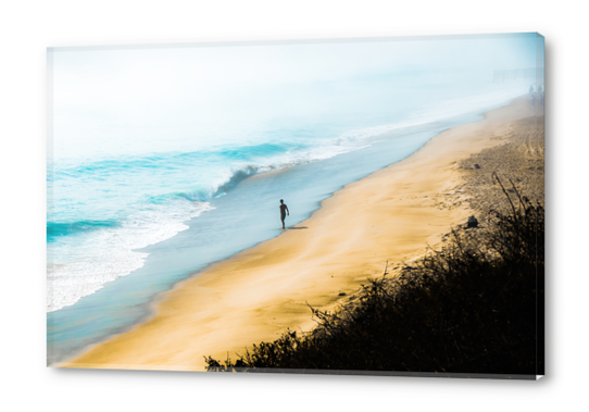 sandy beach and blue ocean at Point Mugu State Park, California, USA Acrylic prints by Timmy333