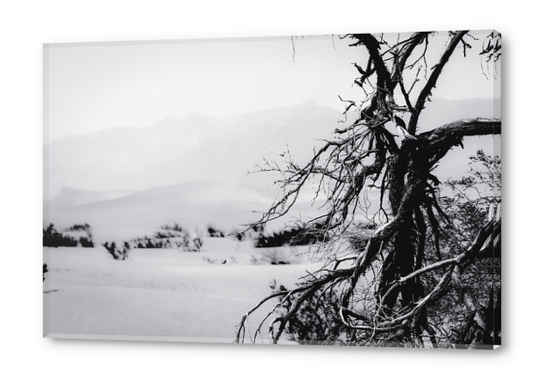 desert at Death Valley national park California in black and white Acrylic prints by Timmy333