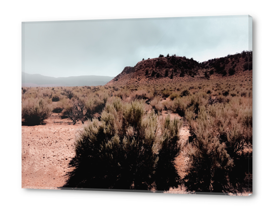 Desert scenic with foggy blue sky in California USA Acrylic prints by Timmy333