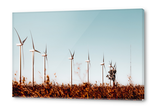 desert and windmill with blue sky in California, USA Acrylic prints by Timmy333