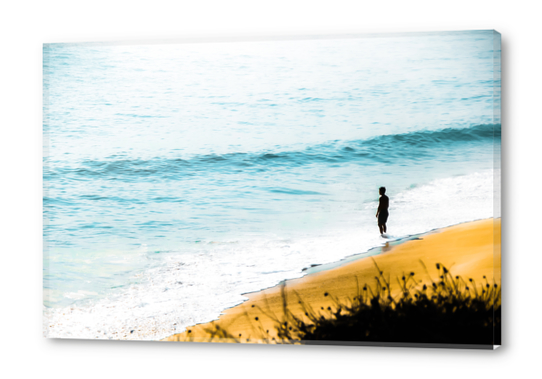 blue ocean waves and sandy beach at Point Mugu State Park, California, USA Acrylic prints by Timmy333