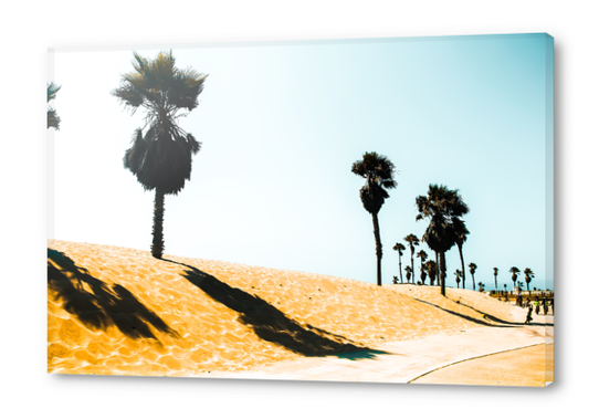 summer sandy beach and palm tree at Oxnard Beach, California, USA Acrylic prints by Timmy333