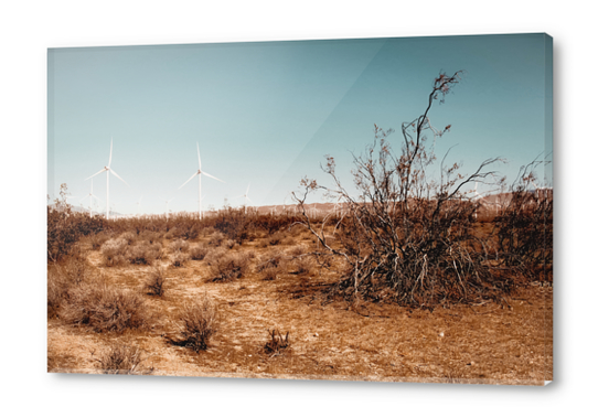 Desert and wind turbine with blue sky at Kern County California USA Acrylic prints by Timmy333