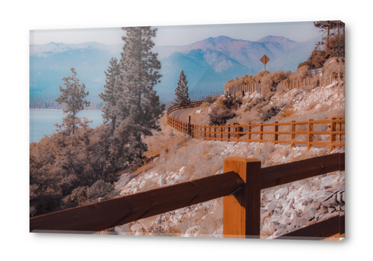 Walkway with pine tree and mountain background at Lake Tahoe Nevada USA Acrylic prints by Timmy333