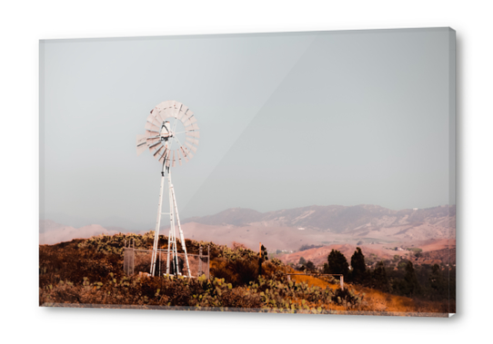 windmill and cactus garden with mountain view and blue sky background Acrylic prints by Timmy333