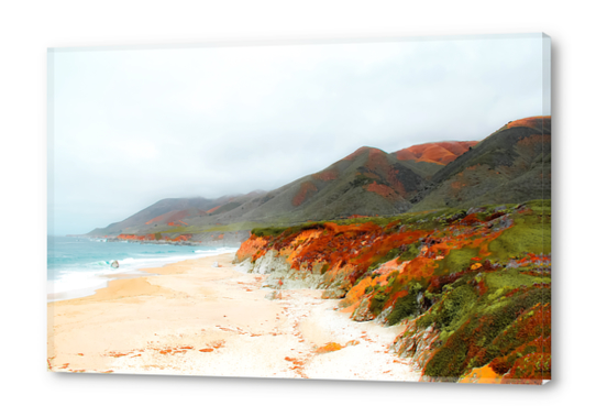 sandy beach and mountain at Big Sur, Highway 1, California, USA Acrylic prints by Timmy333