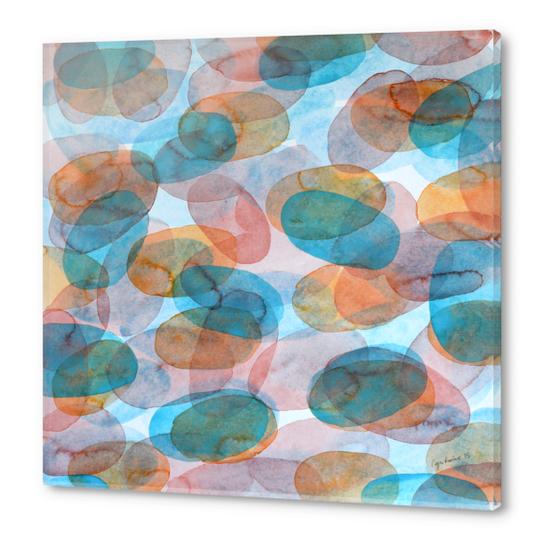 Orange Blue Red Ovals Acrylic prints by Heidi Capitaine