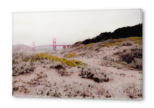 At Golden Gate bridge San Francisco California USA Acrylic prints by Timmy333