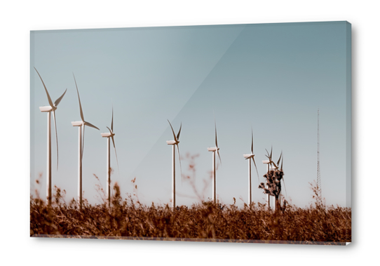 Wind turbine in the desert with blue sky at Kern County California USA Acrylic prints by Timmy333