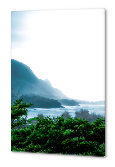 green tropical land with ocean front at Kauai, Hawaii, USA Acrylic prints by Timmy333