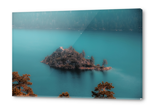 Island and pine tree at Emerald Bay Lake Tahoe California USA Acrylic prints by Timmy333