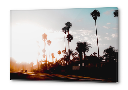 sunset sky in summer with palm tree view in California USA Acrylic prints by Timmy333