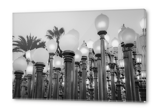 Urban Light at LACMA Los Angeles California USA in black and white Acrylic prints by Timmy333