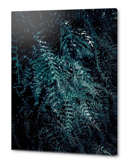 green leaves texture abstract background Acrylic prints by Timmy333