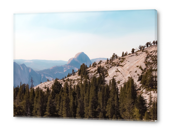 mountain and pine tree at Yosemite national park USA Acrylic prints by Timmy333