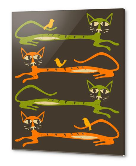 BIRDS ON A CAT Acrylic prints by Jazzberry Blue