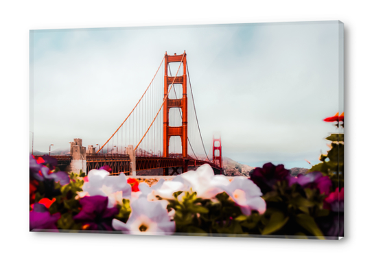 Golden Gate Bridge, San Francisco, USA with blooming flowers Acrylic prints by Timmy333