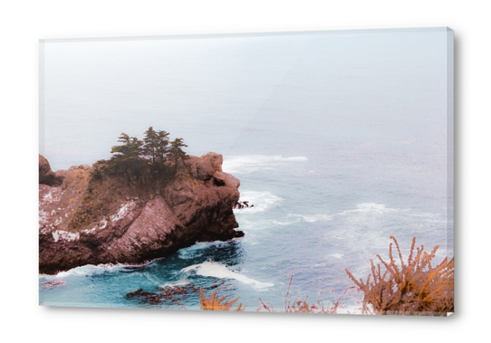 Coastal view at Mcway Falls, Big Sur, Highway 1, California, USA Acrylic prints by Timmy333