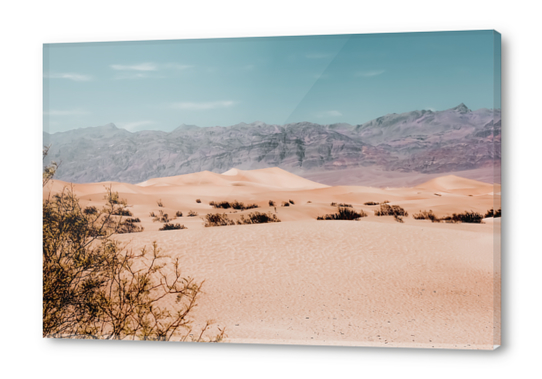 Sandy desert with mountain background at Death Valley national park California USA Acrylic prints by Timmy333