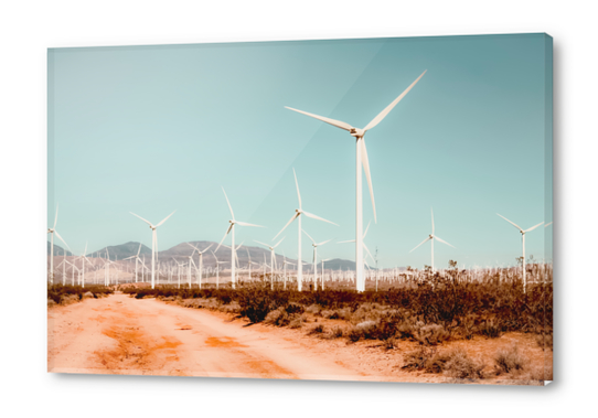 Wind turbine farm in the desert at Kern County California USA Acrylic prints by Timmy333