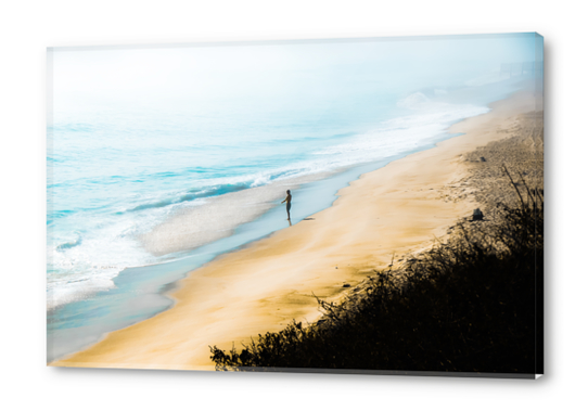 sandy beach blue wave at Point Mugu State Park, California, USA Acrylic prints by Timmy333