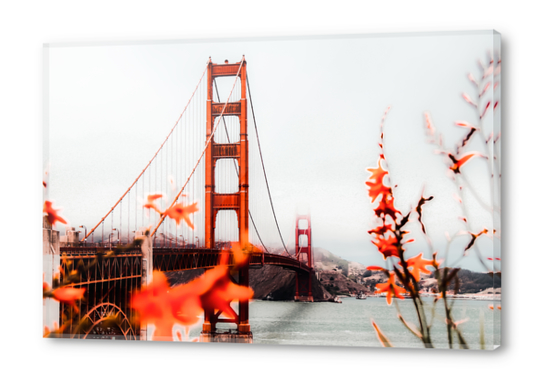 At Golden Gate Bridge, San Francisco, California, USA Acrylic prints by Timmy333