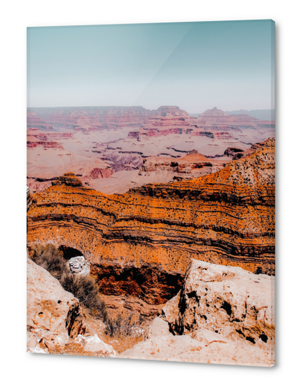 desert layer at Grand Canyon national park, Arizona, USA Acrylic prints by Timmy333