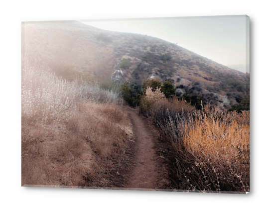 walkway with mountain view and dry grass field Acrylic prints by Timmy333