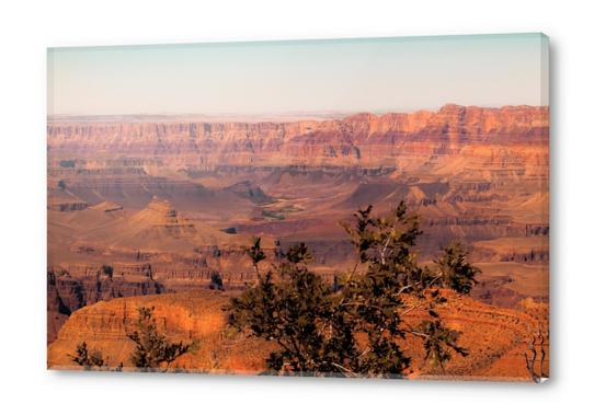 Desert in summer at Grand Canyon national park USA Acrylic prints by Timmy333