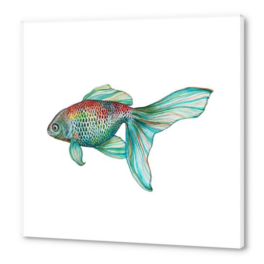 Fish Acrylic prints by Nika_Akin