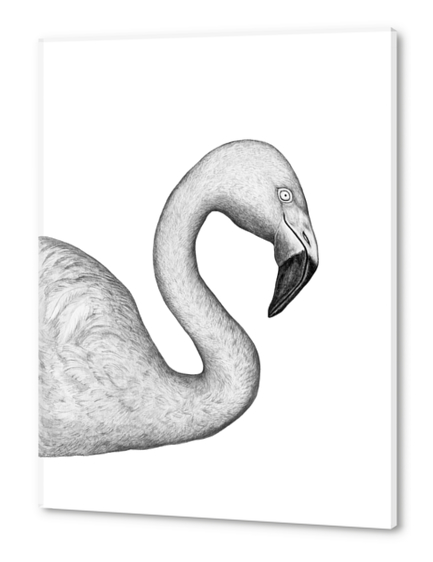 Flamingo Acrylic prints by Nika_Akin