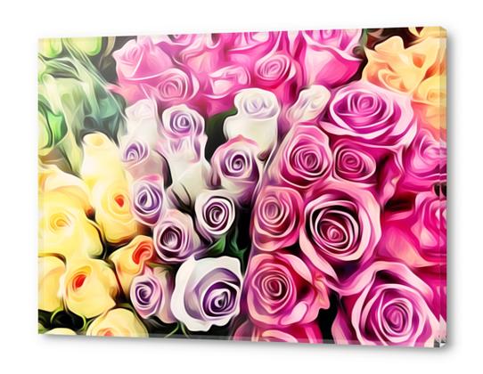 pink purple and yellow roses painting background Acrylic prints by Timmy333