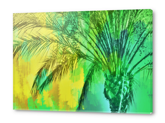 palm tree with green and yellow painting texture abstract background Acrylic prints by Timmy333