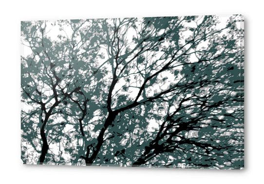 tree branch with green leaves abstract background Acrylic prints by Timmy333