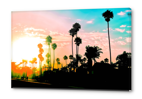 beach summer sunset with palm tree and blue sky Acrylic prints by Timmy333