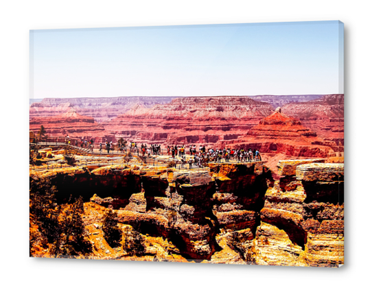 Desert in summer at Grand Canyon national park, USA Acrylic prints by Timmy333