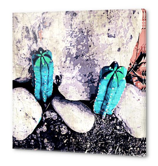 green cactus on the ground with stone background Acrylic prints by Timmy333