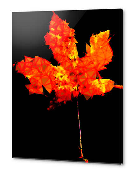 orange and yellow geometric polygon maple leaf abstract with black background Acrylic prints by Timmy333