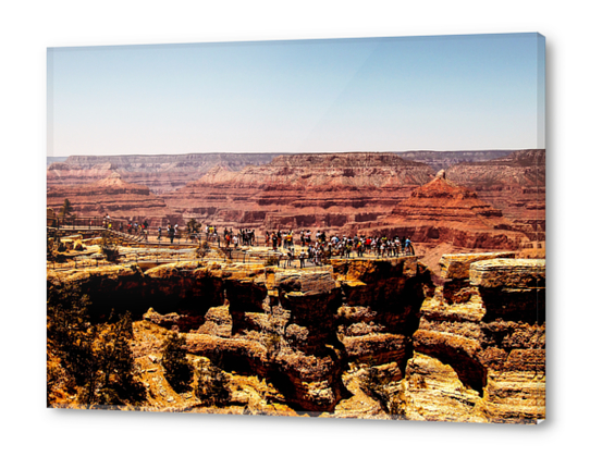 at Grand Canyon national park, USA Acrylic prints by Timmy333