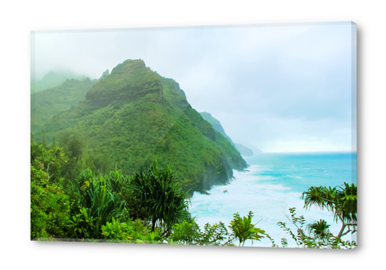 green mountain with blue ocean view at Kauai, Hawaii, USA Acrylic prints by Timmy333