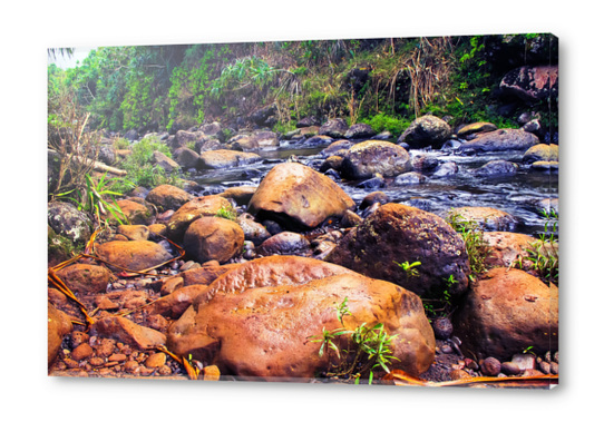 river in the forest with green tree and rock and stone Acrylic prints by Timmy333