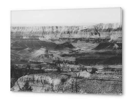 rocky mountain at Grand Canyon national park, USA in black and white Acrylic prints by Timmy333