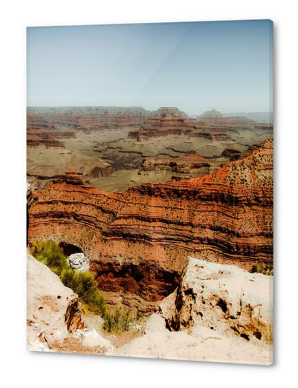 Grand Canyon national park, USA Acrylic prints by Timmy333