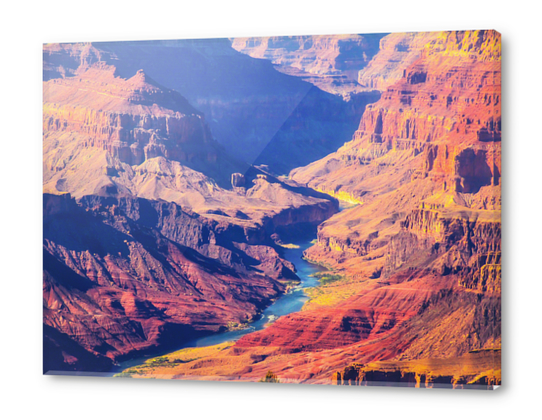 mountain and desert at Grand Canyon national park, USA Acrylic prints by Timmy333