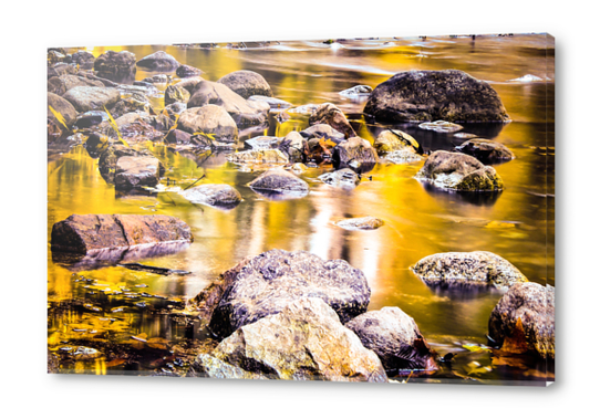 rock and stone in the river with the summer sunset light Acrylic prints by Timmy333