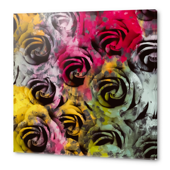 rose texture abstract  with red pink yellow painting abstract background Acrylic prints by Timmy333